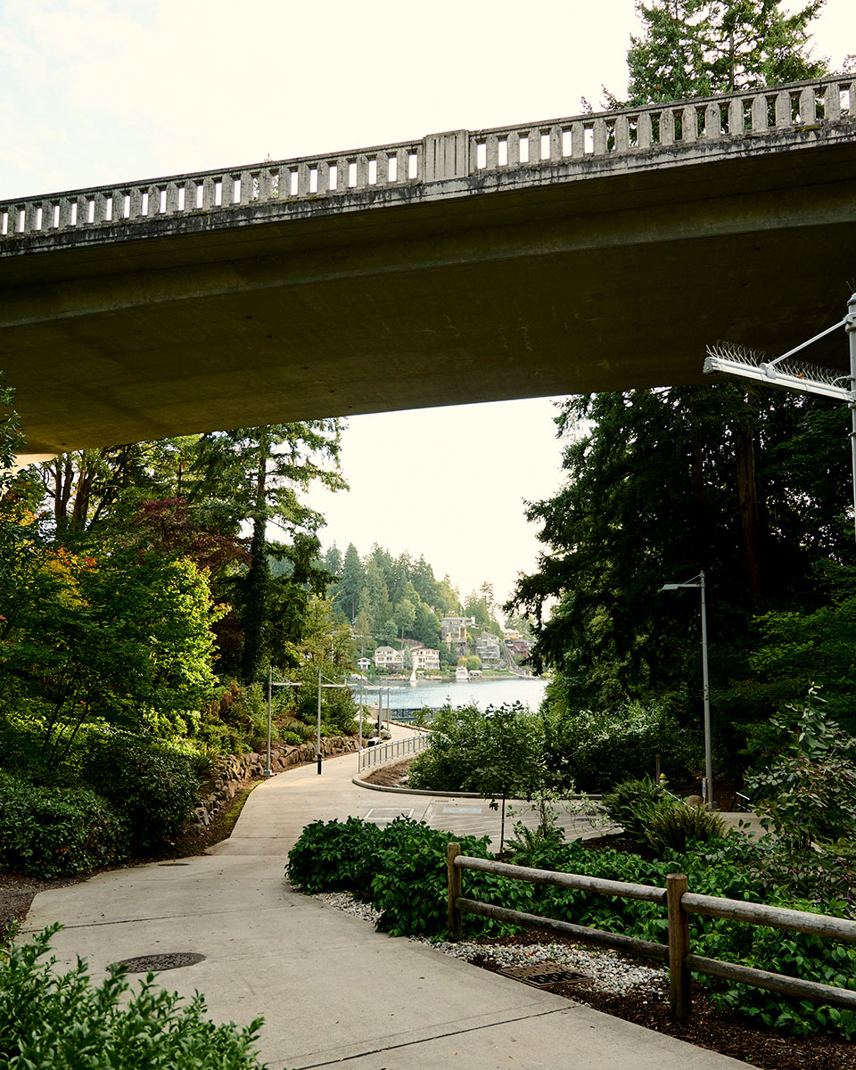 City in the Park