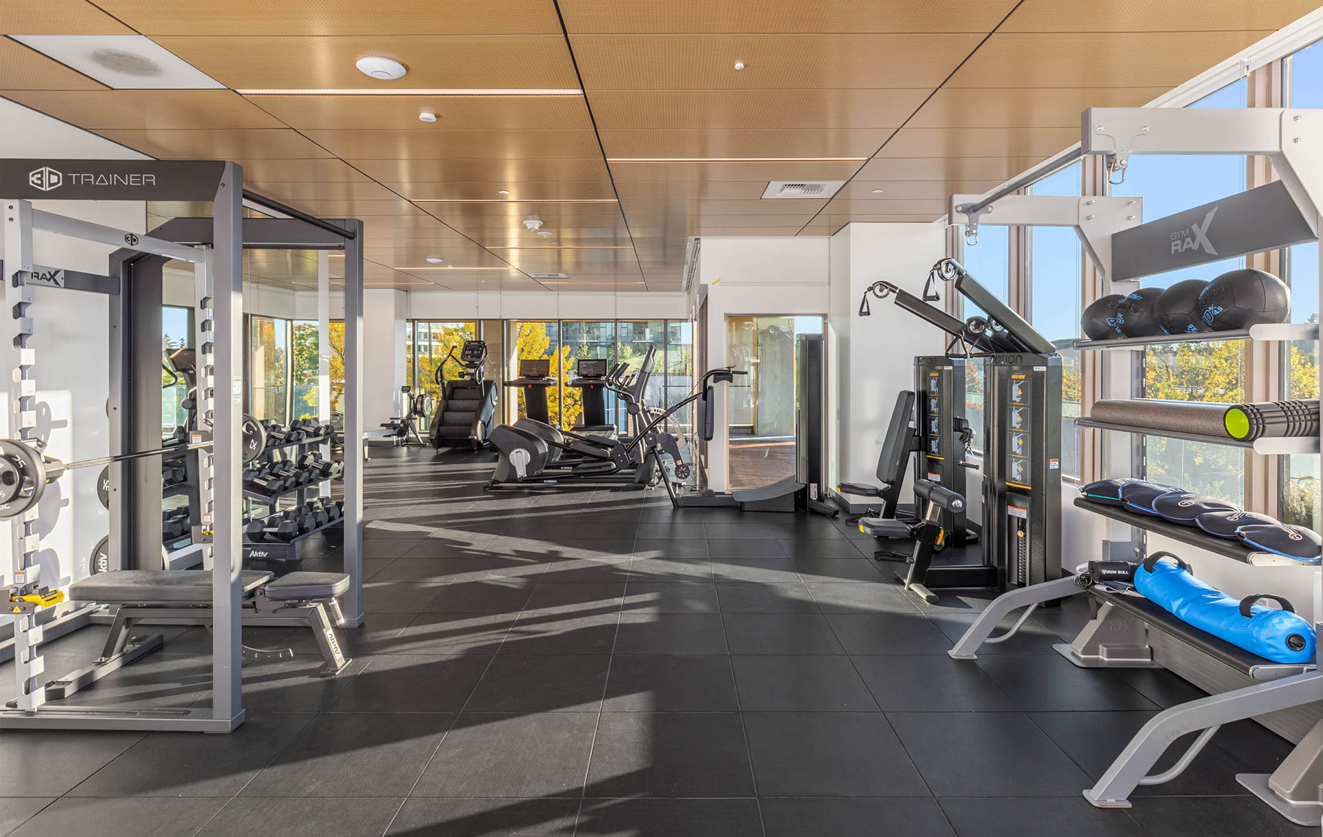 Fitness